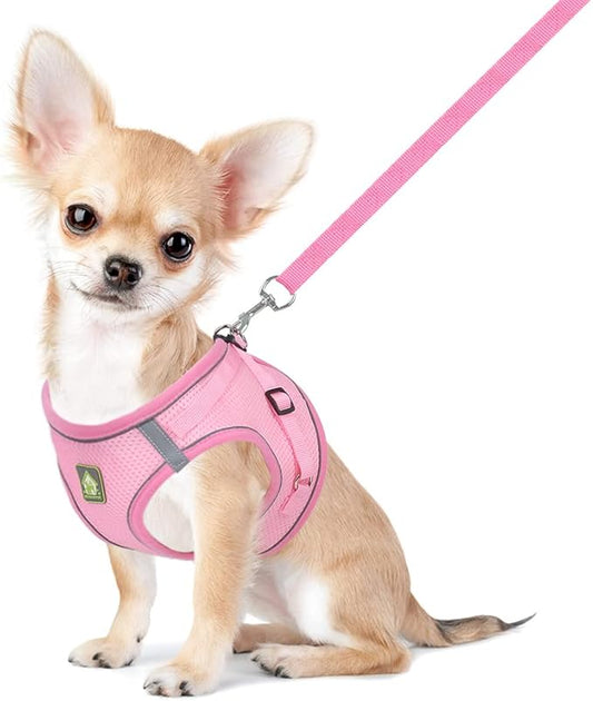 FEimaX Dog Harness and Leash Set, No Pull Breathable Soft Mesh Puppy Vest Harness Reflective Adjustable Pet Harnesses for Small Medium Dogs and Cats - Outdoor Easy Control for Walking