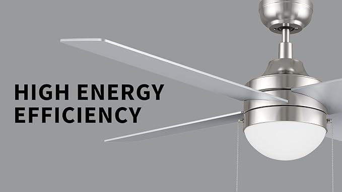 CEME 52" Ceiling Fan with Light Low Profile, DC 5 Speeds Silent Ceiling Fan with Remote, 5 Dual Finish Blades, 3 Light Colors Dimmable LED for Bedroom Room,Silver