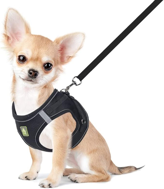 FEimaX Dog Harness and Leash Set, No Pull Breathable Soft Mesh Puppy Vest Harness Reflective Adjustable Pet Harnesses for Small Medium Dogs and Cats - Outdoor Easy Control for Walking