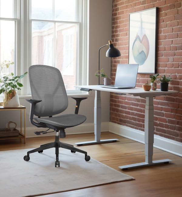 Mesh Office Chair – Ergonomic Office Chair with Lumbar Support, Adjustable Armrests & Sliding Soft Seat Cushion – Holds Up to 270lbs (Grey)