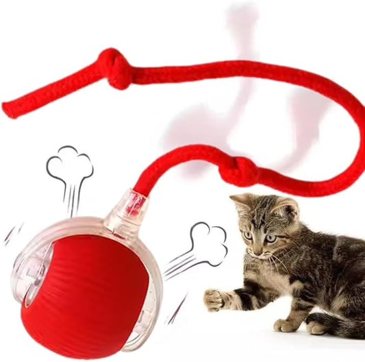 Cat/Dog Interactive Ball - Rechargeable, Motion Chase Toy, Self-Moving Kitten Toy for Indoor Playing, Fast on Carpet