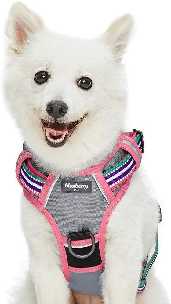 Blueberry Pet Soft 3M Reflective Dog Harness Vest | Mesh Padded No-Pull Harness with Back Clips | Multicolor Stripe in Pink, Emerald and Orchid| Adjustable for Small Dogs