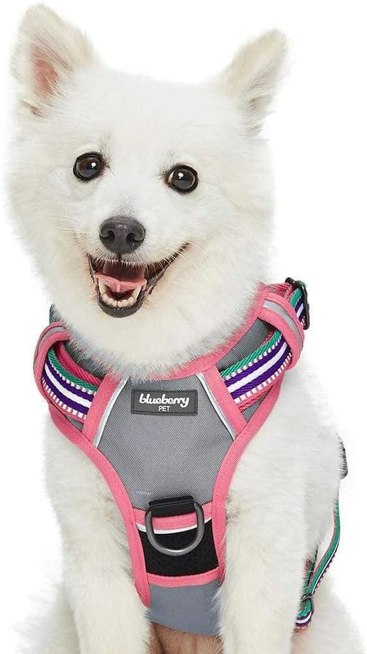 Blueberry Pet Soft 3M Reflective Dog Harness Vest | Mesh Padded No-Pull Harness with Back Clips | Multicolor Stripe in Pink, Emerald and Orchid| Adjustable for Small Dogs
