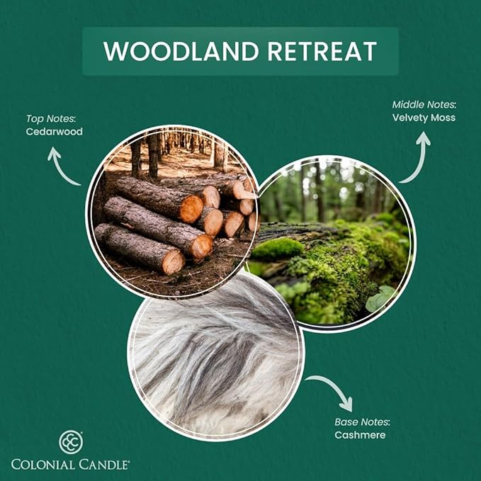 Colonial Candle Woodland Retreat Scented Jar Candle, Pop of Color Collection, 3 Wick, 14.5 oz - Up to 60 Hours Burn