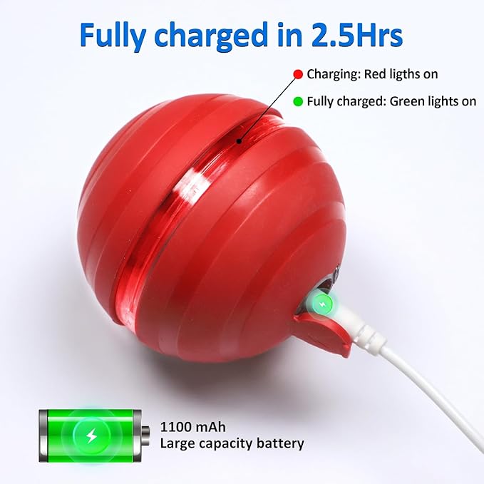 Interactive Dog Balls with Motion Activated, Wicked Ball Squeaky Dog Toy Oxford Bag Keep Dogs Busy (Red Ball)