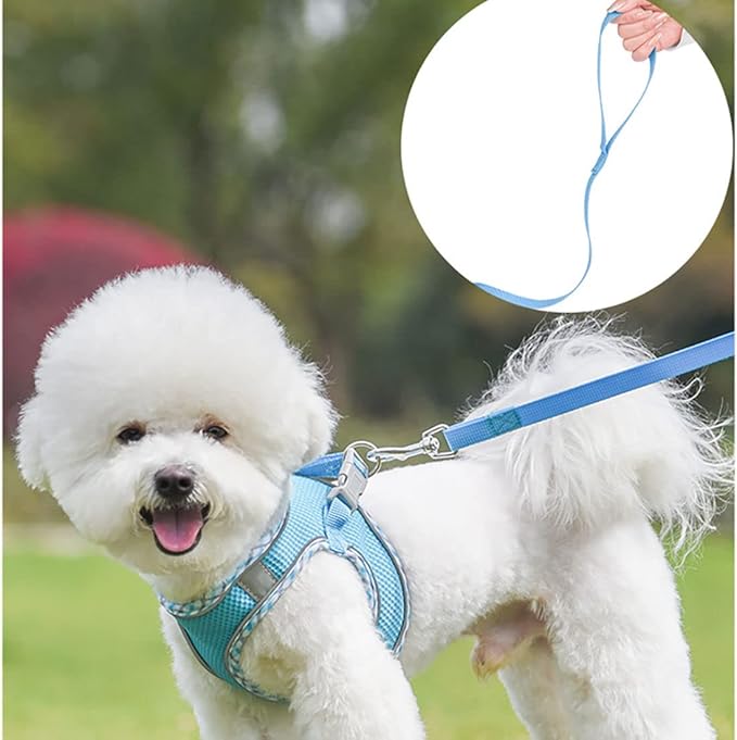Harness Small Sized Dog with Leash Set, No-Pull Puppy Vest, Breathable Mesh Reflective Pet Cat Harnesses for Outdoor Walking for XXS Xs Small Medium Breed Dogs, Pink-Plaid S