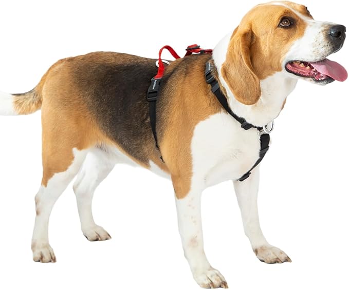 Non-Restrictive Dog Harness, Easy Walk Freedom No Pull Harness, Keep Balance, Neck-Buckle, Six Points Adjustment, 2 Leash Clips for Back and Front Clip (Red/Black, Large)