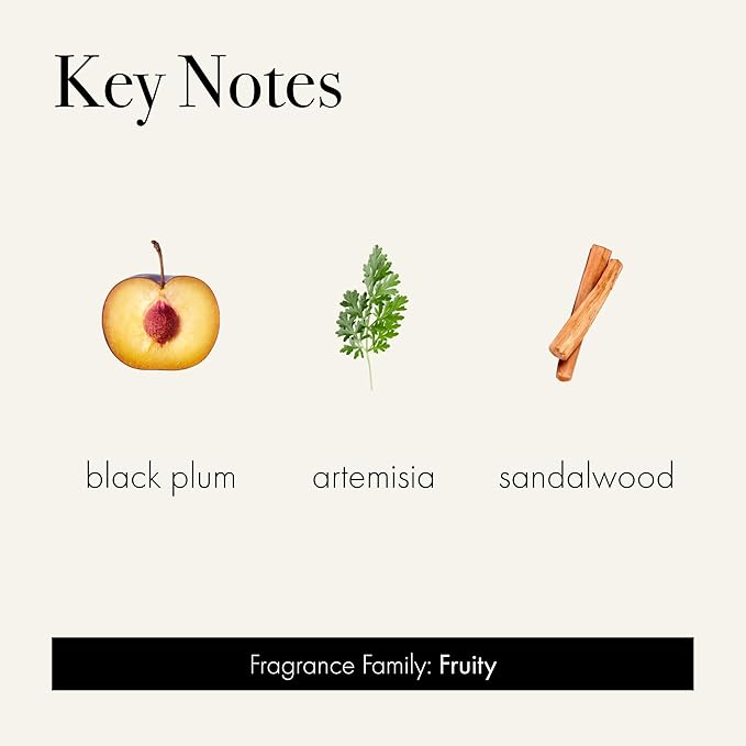 LAFCO New York Holiday Signature Candle, Absinthe Plum - 15.5 oz - 90-Hour Burn Time - Reusable, Hand Blown Glass Vessel - Made in The USA