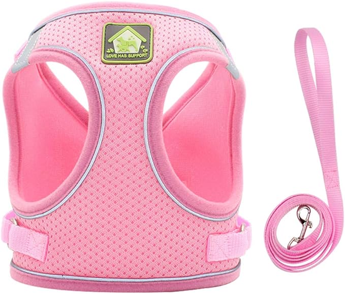 FEimaX Dog Harness and Leash Set, No Pull Breathable Soft Mesh Puppy Vest Harness Reflective Adjustable Pet Harnesses for Small Medium Dogs and Cats - Outdoor Easy Control for Walking