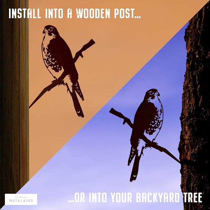 METALBIRD - Peregrine Falcon - Outdoor Tree Ornaments in Corten Steel - Metal Art Proudly Made in The USA