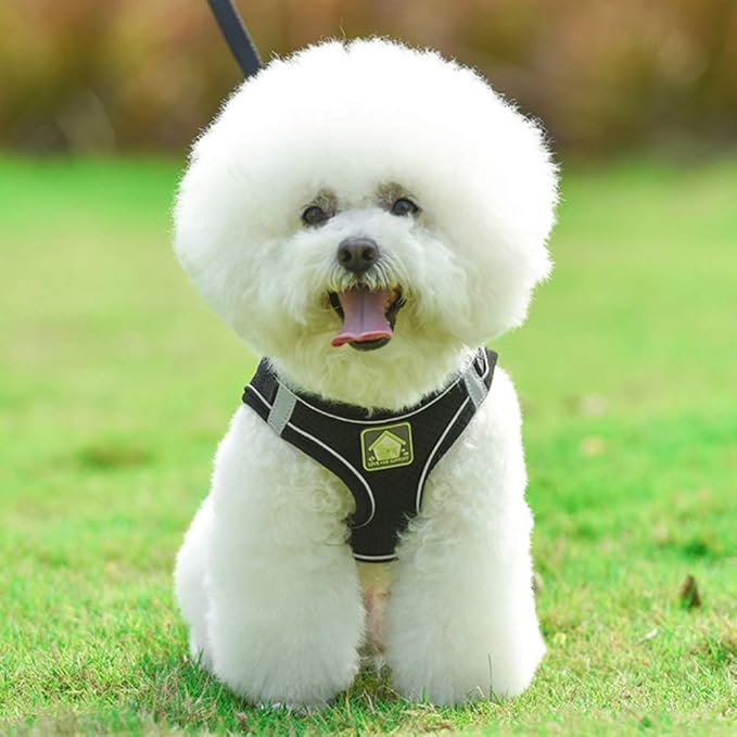 FEimaX Dog Harness and Leash Set, No Pull Breathable Soft Mesh Puppy Vest Harness Reflective Adjustable Pet Harnesses for Small Medium Dogs and Cats - Outdoor Easy Control for Walking