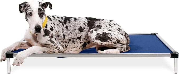 K9 Ballistics Chew Proof Elevated Cooling Dog Bed - Made for Aggressive Chewers, Virtually Indestructible, Ripstop Fabric with No Padding, Pre-Assembled - XXL, Blue Quartz