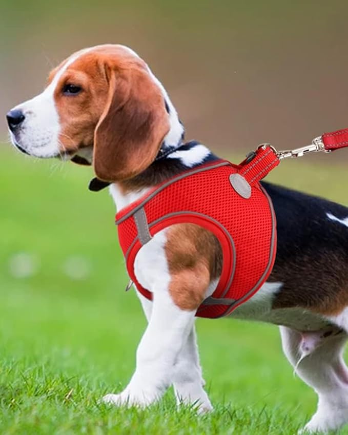 Joytale Small Dog Harness, Breathable Mesh Step-in Vest, Reflective Soft Padded Harnesses for Medium Dogs, Red, XL