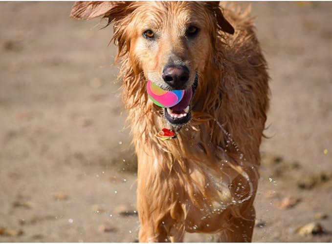 FineInno 2Pcs Light Up Dog Balls,LED Dog Ball,Glow in The Dark Dog Ball,Flashing Elastic Pet Toys for Puppy, Cats, Dogs