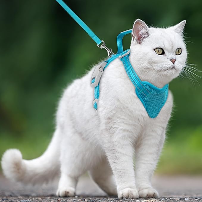 Cat Harness and Leash Set Escape Proof for Kitten Walking, Soft Adjustable Top Handle Vest Harnesses for Cats, Easy Control Breathable Reflective Small Medium Large, Blue,XXS
