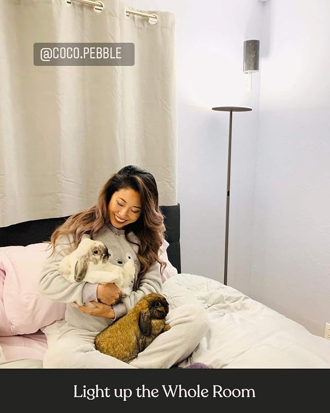 Brightech Sky LED Floor lamp, Torchiere Super Bright Floor Lamp for Living Rooms & Offices - Dimmable, Tall Standing Lamp for Bedroom Reading - Bronze