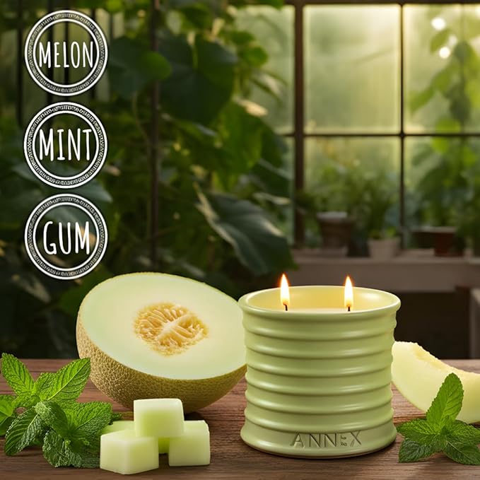 Scented Luxury Candles Outdoor Mosquito Bug Repellent Ceramic Jars, Soy Wax | The Green Life, Large Natural Candle - Green Melon & Peppermint | Non Toxic, 2 Wicks, Reusable Jar