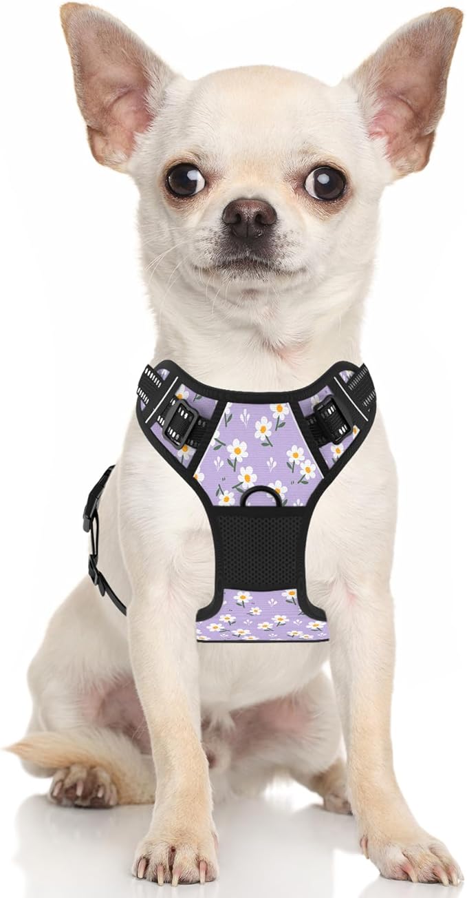 Rnivvi No Pull Dog Harness, Cute Flower Reflective Small Sized Puppy Harness, Adjustable Soft Padded Vest for Small Dogs, Cats, Heavy Duty Pet Vest with Easy Control Handle for Walking, Purple White
