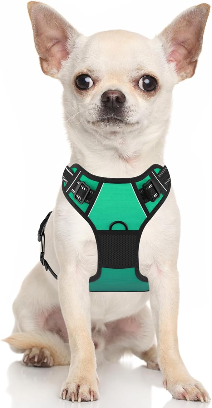 Rnivvi No Pull Dog Harness, Cute Reflective Small Sized Puppy Kitten Harness, Adjustable Soft Padded Vest for Small Dogs, Cats, Heavy Duty Pet Vest with Easy Control Handle for Walking, Gradient Green