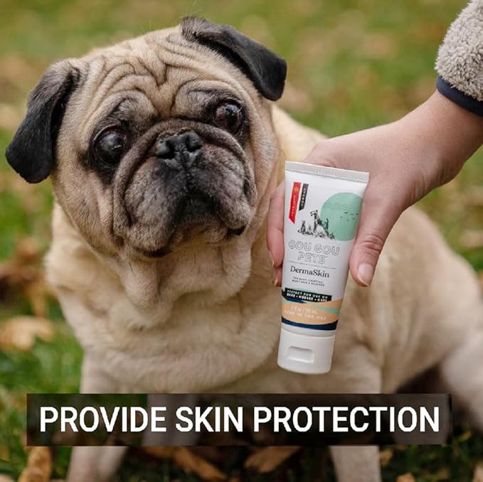 DermaSkin Dermatitis Ointment Holistic Natural Derived Herbal Pet Care for Dogs, Cats and Horses: Relieves Rash, Crusting, Dry Skin, Skin Problems and Skin Conditions - Made in USA - 2 oz