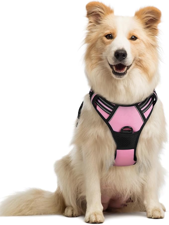 rabbitgoo Dog Harness No Pull with 2 Leash Clips, Adjustable Soft Padded, Reflective Oxford No Choke Pet Vest with Easy Control Handle for Medium Sized Dogs, Pink, M