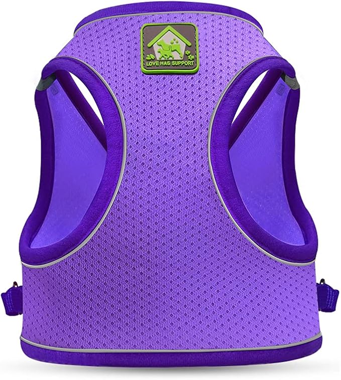 FEimaX Dog Harness and Leash Set, No-Pull Breathable Soft Mesh Puppy Vest Harness Reflective Adjustable Pet Harnesses for Small Medium Dogs and Cats - Outdoor Easy Control for Walking (XL, Purple)