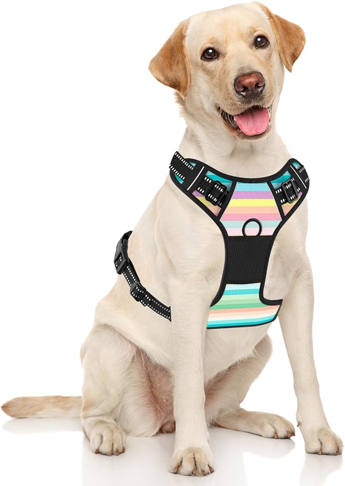 Rnivvi No Pull Dog Harness, Cute Reflective X-Large Sized Puppy Harness, Adjustable Soft Padded Vest for Large Dogs, Heavy Duty Pet Vest with Easy Control Handle for Walking Training, Watercolor