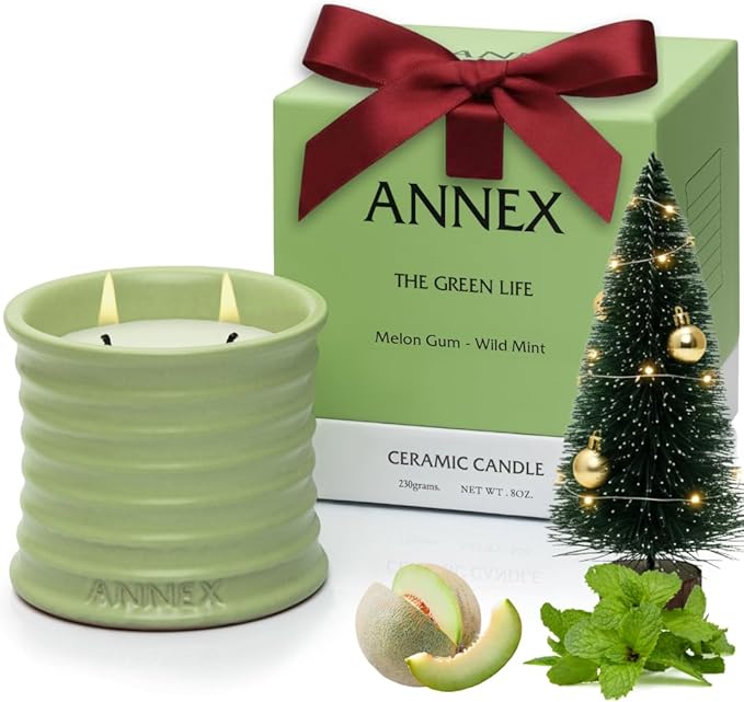 Scented Luxury Candles Outdoor Mosquito Bug Repellent Ceramic Jars, Soy Wax | The Green Life, Large Natural Candle - Green Melon & Peppermint | Non Toxic, 2 Wicks, Reusable Jar