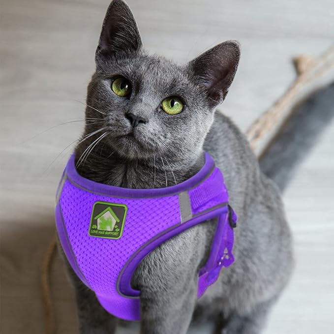 FEimaX Dog Harness and Leash Set, No-Pull Breathable Soft Mesh Puppy Vest Harness Reflective Adjustable Pet Harnesses for Small Medium Dogs and Cats - Outdoor Easy Control for Walking (XS, Purple)