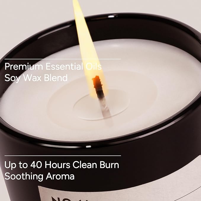 Santal & Jasmine Luxury Scented Candles, 9oz Soy Wax Candles for Home Scented, Jasmine, Sandalwood, Lilac Scent, Long Burning Time, Gifts for Women, Friends, Men, Sister, Teacher, Christmas