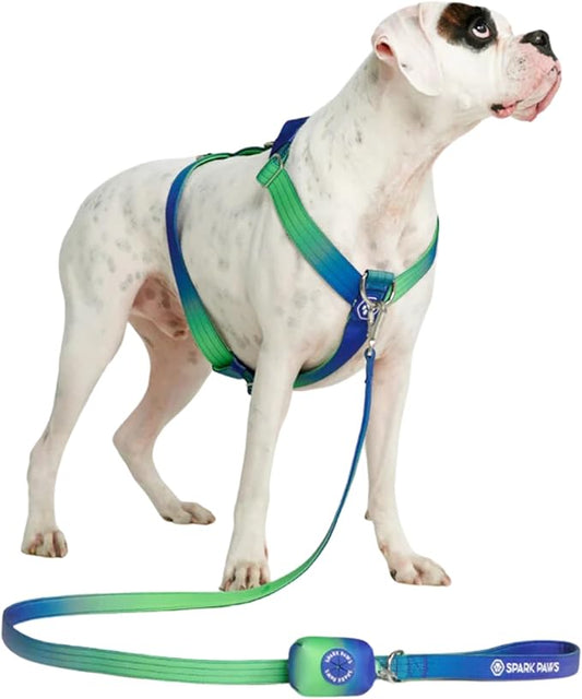 Spark Paws No Pull Dog Harness for Large Dogs, Heavy Duty Dog Harness for Big Strong Breeds, Adjustable, Y Shaped Padded Halter Design with Front Clip - Lime Wave - M