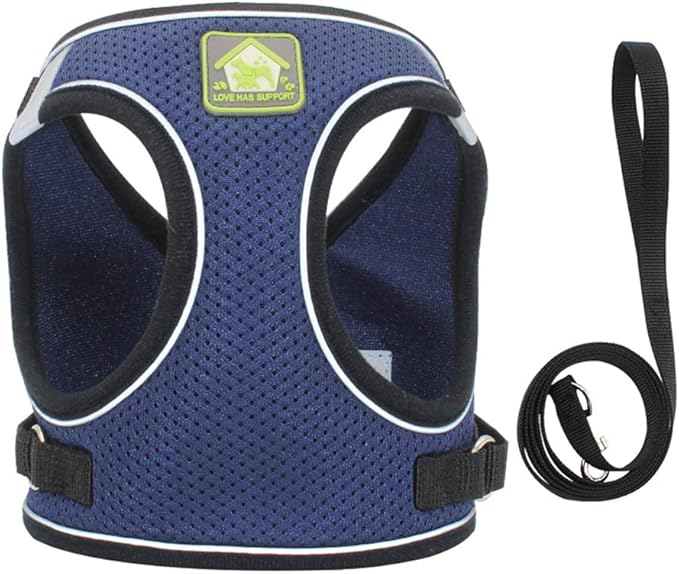 FEimaX Dog Harness and Leash Set, No Pull Breathable Soft Mesh Puppy Vest Harness Reflective Adjustable Pet Harnesses for Small Medium Dogs and Cats - Outdoor Easy Control for Walking