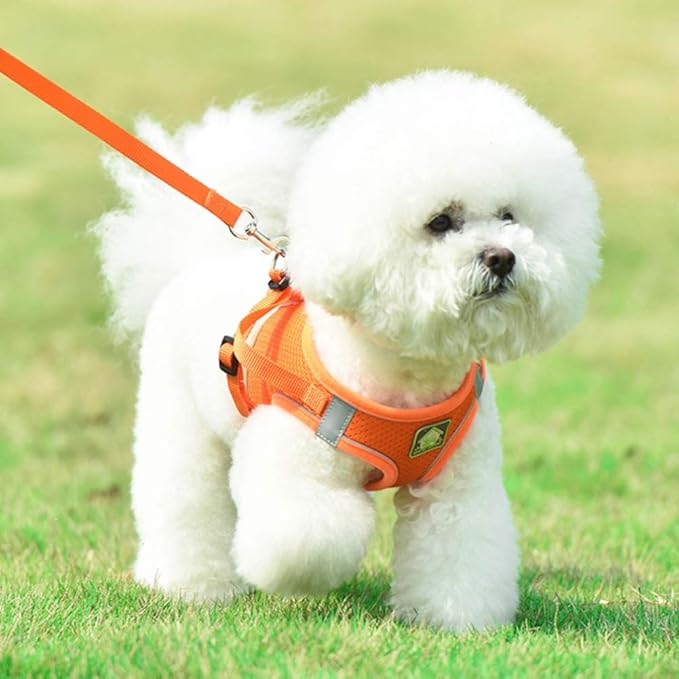 FEimaX Dog Harness and Leash Set, No Pull Breathable Soft Mesh Puppy Vest Harness Reflective Adjustable Pet Harnesses for Small Medium Dogs and Cats - Outdoor Easy Control for Walking