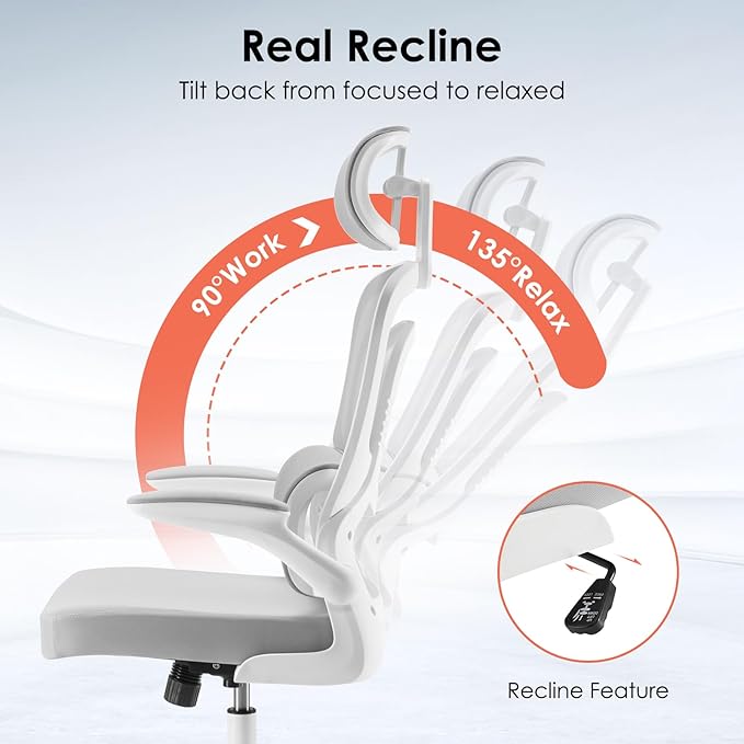 Farini Ergonomic Office Chair, Desk Chair with Headrest and Lumbar Support, High Back Swivel Home Office Chair with Headrest for Home Office Bedroom, Gifts, White & Gray