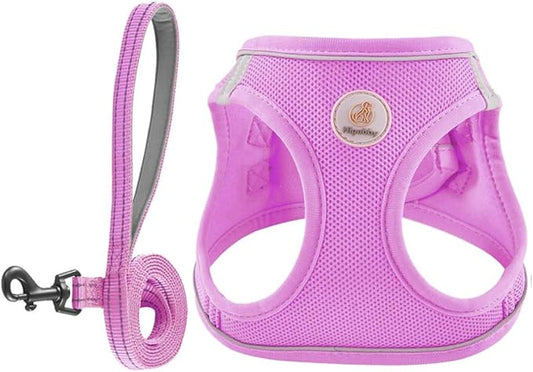 Dog Harness and Leash Set, No Pull Soft Mesh Puppy Harness for Small Medium Dogs, Cats - Step in Reflective Breathable Lightweight Vest Harness for Walking, Training - Purple, M