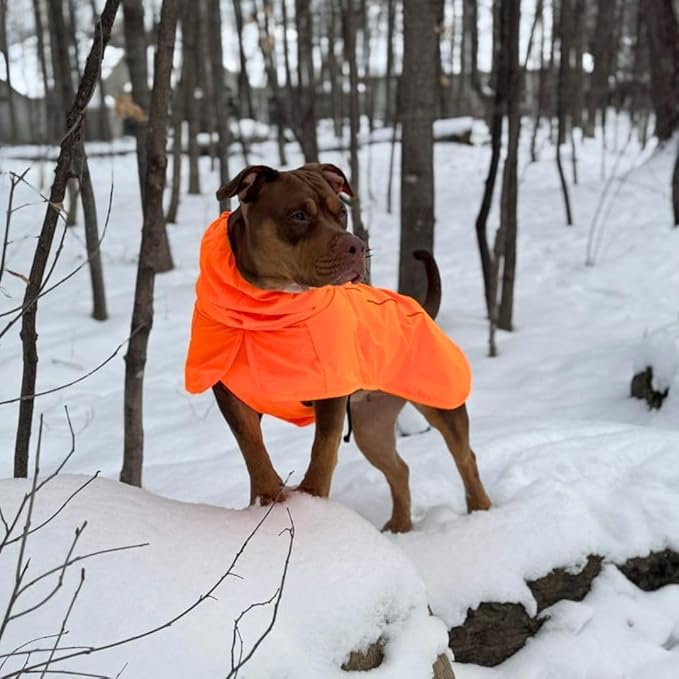 Spark Paws Dog Raincoat, Waterproof Windproof Rain Jacket, for Small Medium Large Extra Large Dogs, Reflective Breathable Full-Body Coverage Dry Suit - Orange - M