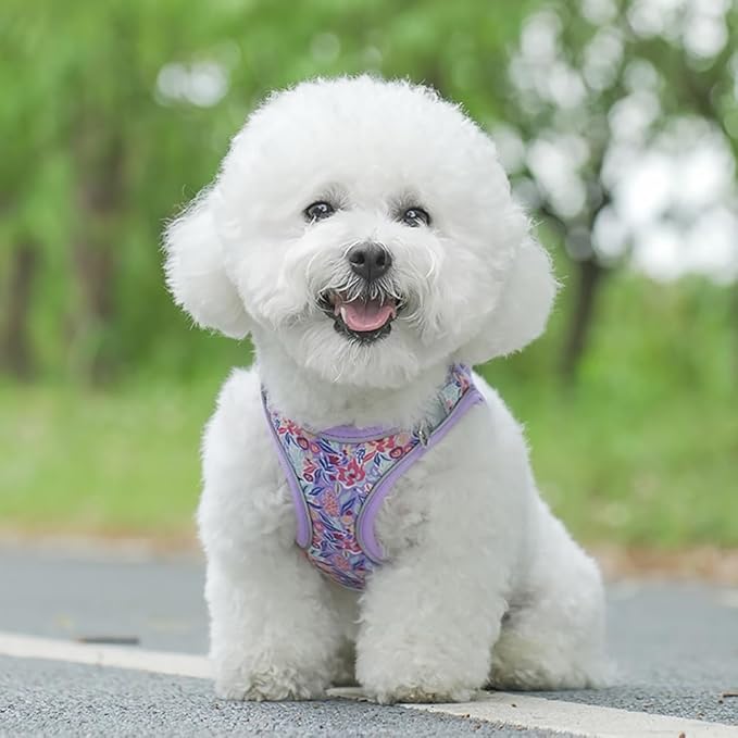 Step in Dog Harness and Leash Set, Flower Adjustable Easy Walk Puppy Harnesses, Soft Mesh Pet Vest Harness Small Size Dog Adjustable No Pull Dog Harness for Small Dogs and Cats(Light Purple, XXS)