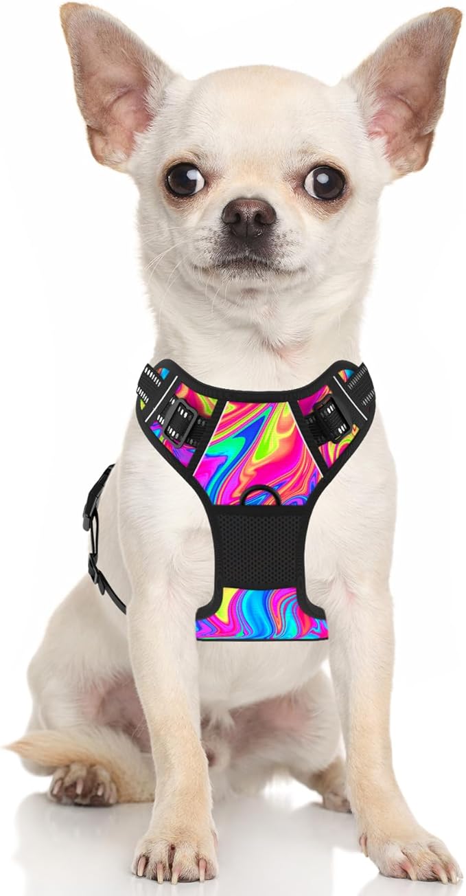 Rnivvi No Pull Dog Harness, Cute Reflective Small Sized Puppy Kitten Harness, Adjustable Soft Padded Vest for Small Dogs, Cats, Heavy Duty Pet Vest with Easy Control Handle for Walking, Rainbow Art