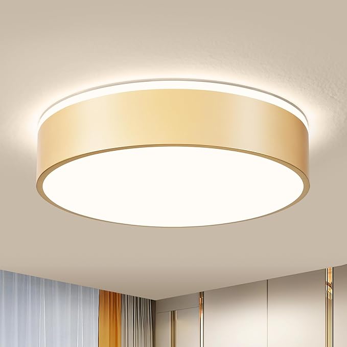 Vikaey Gold LED Ceiling Light Modern Flush Mount Light Fixture Not Dimmable Round Metal Ceiling Lamp with Acrylic Lampshade for Living Room Entryway Bedroom Kitchen 15.74 Inch