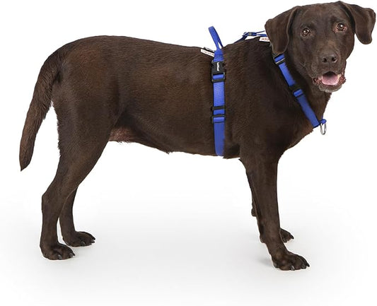 Non Restrictive Dog Harness, Easy Walk Freedom No Pull Harness, Keep Balance, Neck Buckle, 2 Leash Clips for Back/Front Clip, Sewn-in Instructions Labels for Easy Put On/Off (Blue, X-Large)