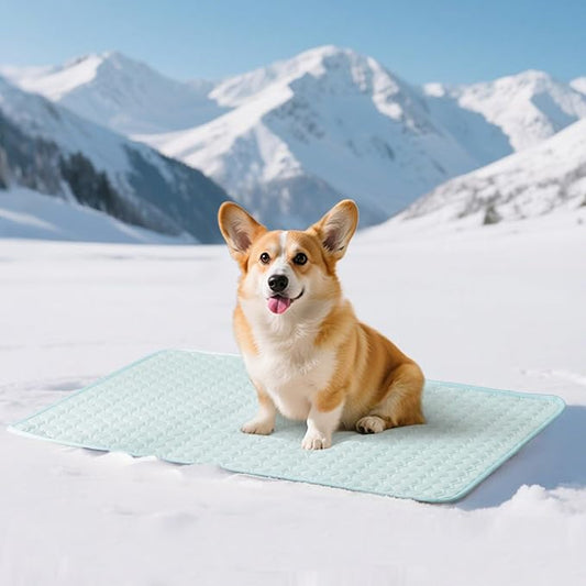 Soulbond Cooling Mat for Large Dogs - 25"x35" Washable Cooling Pad for Dogs & Cats, QMAX>0.3, Anti-Slip Bottom, Portable Summer Cool Pet Bed Pad for Outdoor/Indoor/Cars/Travel Use, Aqua Green