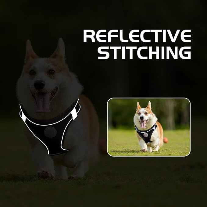 Soft Mesh Dog Harness and Leash Set, No Pull Puppy Harness and Leash Set, Reflective Step in Harness for Small Medium Dogs, Easy Walk Escape Proof Vest Harnesses (Black, M)