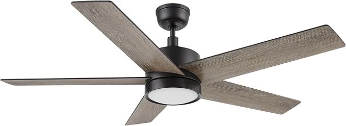 CEME 52 Inch Flush Mount Ceiling Fan with Lights, 3 Light Colors Dimmable Ceiling Fan Low Profile, Reversible 10 Speeds DC Motor, Black