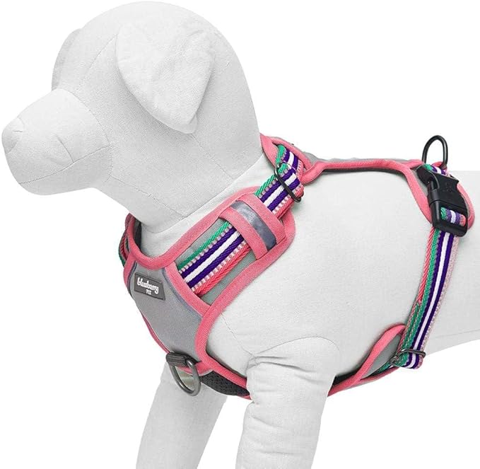 Blueberry Pet Soft 3M Reflective Dog Harness Vest | Mesh Padded No-Pull Harness with Back Clips | Multicolor Stripe in Pink, Emerald and Orchid| Adjustable for Small Dogs
