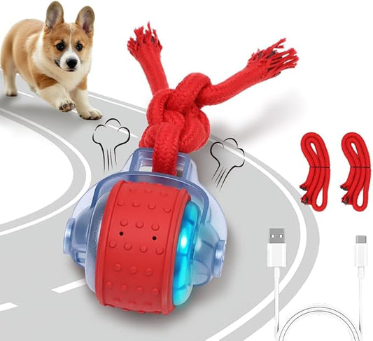 Interactive Dog Toys with Motion Activated, Squeaky Dog Toy Active Rolling Ball Wicked Ball for Daily Training, USB Rechargeable, Wicked Balls