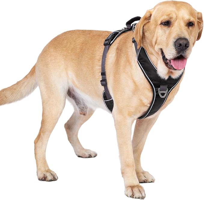 No Pull Dog Harness with Back Control Handle Small Sized, Reflective Vest, Adjustable and Padded, Easy Walker Front/Back Clips (Black, Small)