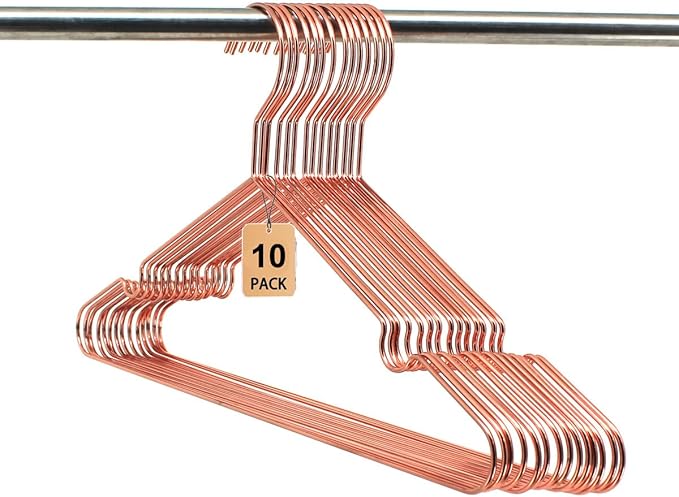 10-Pack Rose Gold Metal Wire Clothes Hangers，16.5" Heavy Duty Wire with Non Slip Notch, Strong Stainless Steel Hangers Space Saving