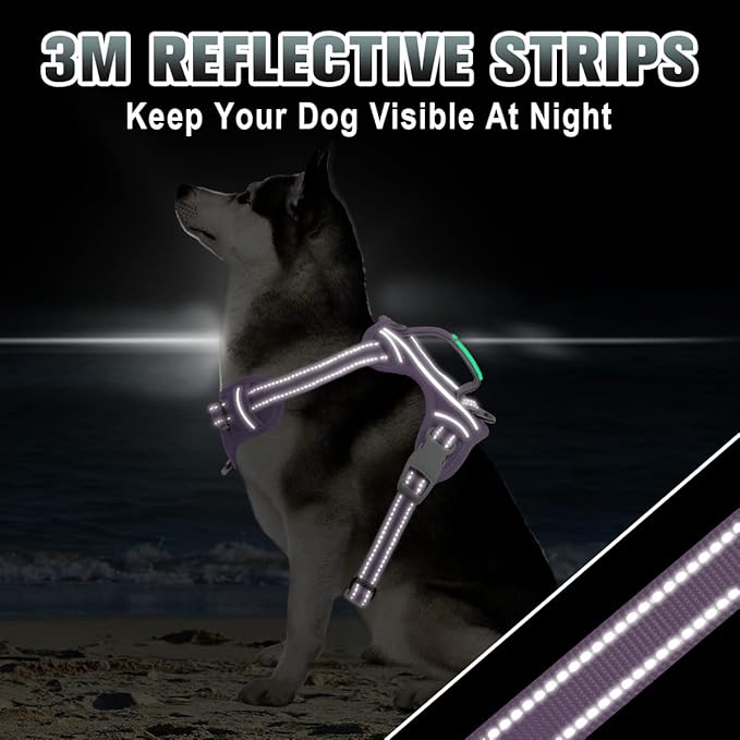 BARKBAY No Pull Dog Harness Large Reflective Dog Harness with Front Clip and Easy Control Handle for Walking Training Running with ID tag Pocket(Violet Purple,XL)