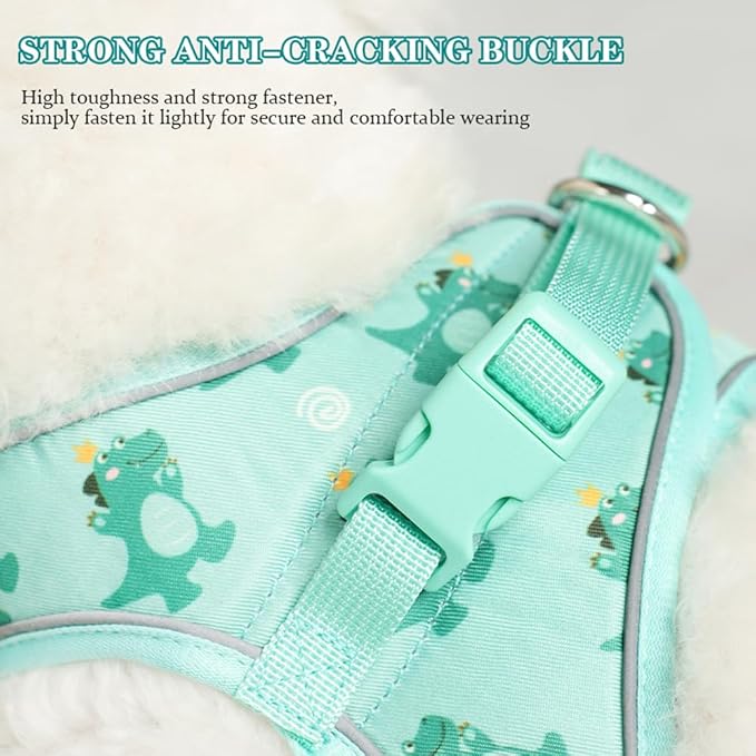 Step in Dog Harness and Leash Set, Flower Adjustable Easy Walk Puppy Harnesses, Soft Mesh No Pull Pet Vest Harness for Small Dogs and Cats(Green, XS)