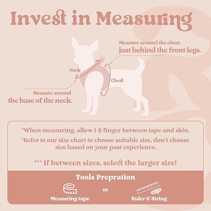 rabbitgoo Small Dog Harness, Step-in Soft Mesh Puppy Vest with Safety Buckle, Breathable Reflective Pet Harness for Extra Small Dogs, Pink XXS